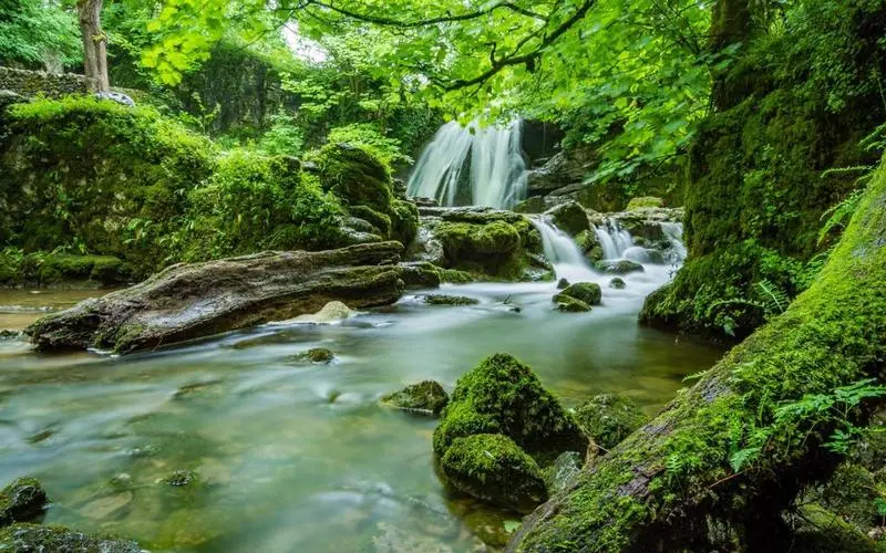 绿色电子高标准